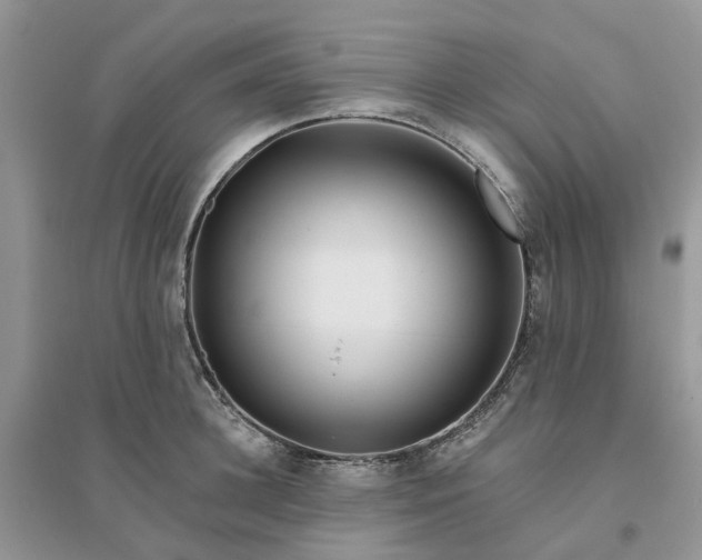 X0000096170948200802011315