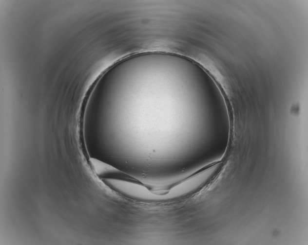 X0000096170949200802011315