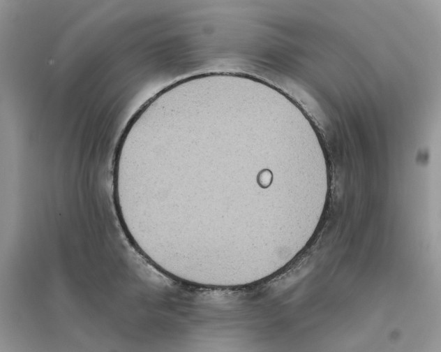 X0000096170950200802011315