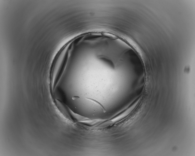 X0000096170951200802011315