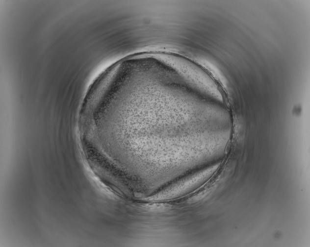 X0000096170952200802011315