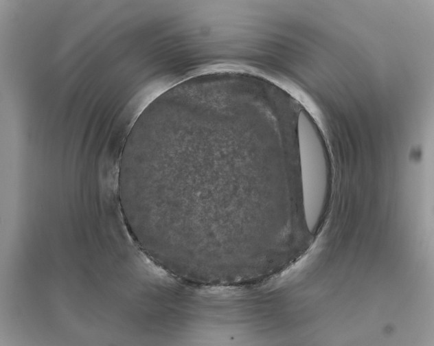 X0000096170953200802011315