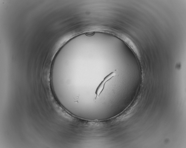 X0000096170954200802011315