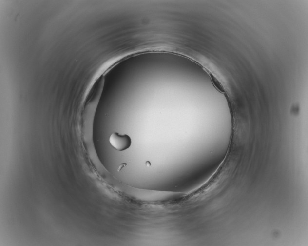 X0000096170956200802011315