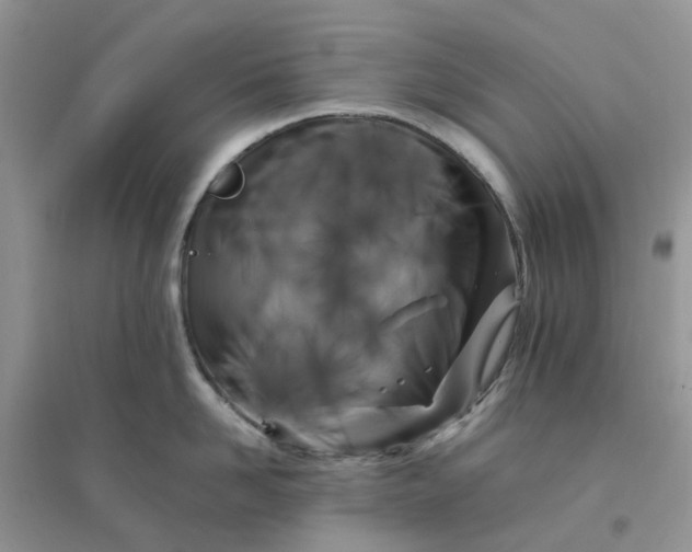 X0000096170958200802011315