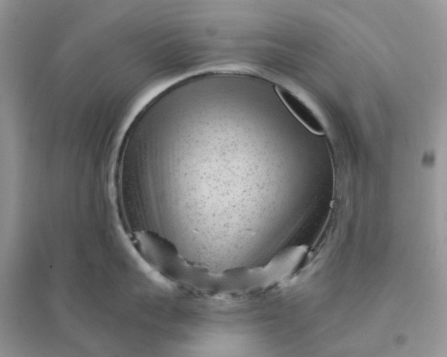 X0000096170959200802011315