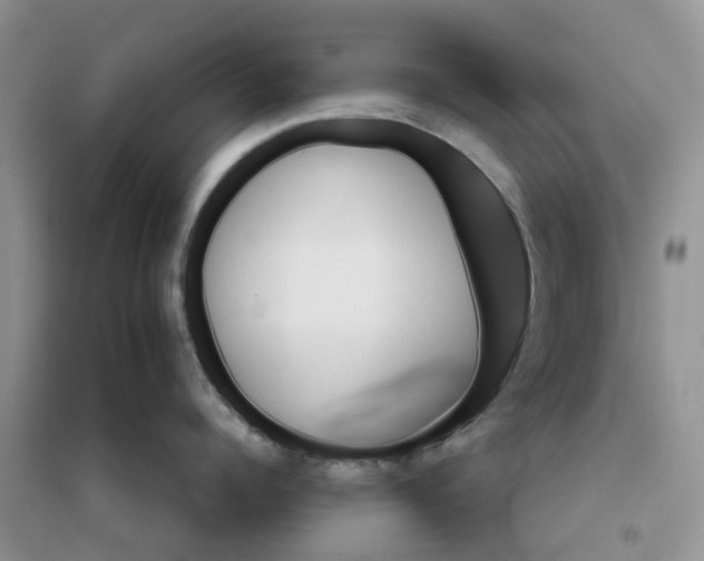 X0000096170960200802011315