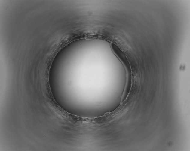 X0000096170961200802011315