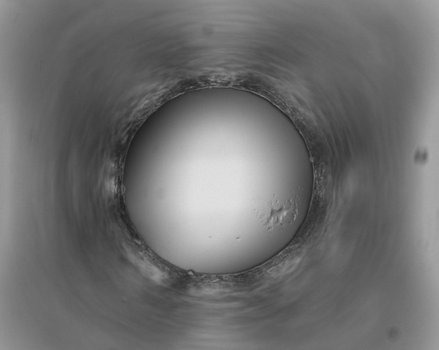 X0000096170962200802011315