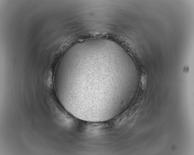 X0000096170963200802011315