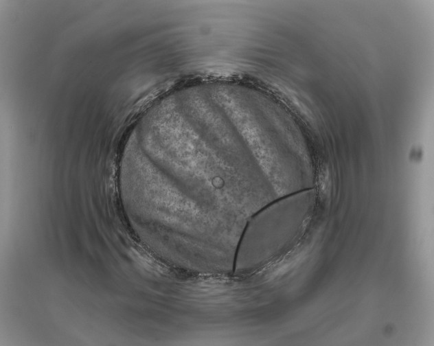 X0000096170964200802011315