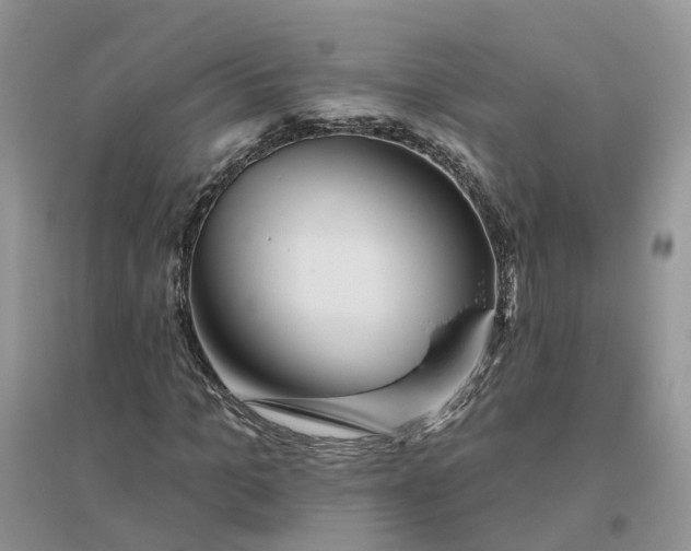 X0000096170965200802011315