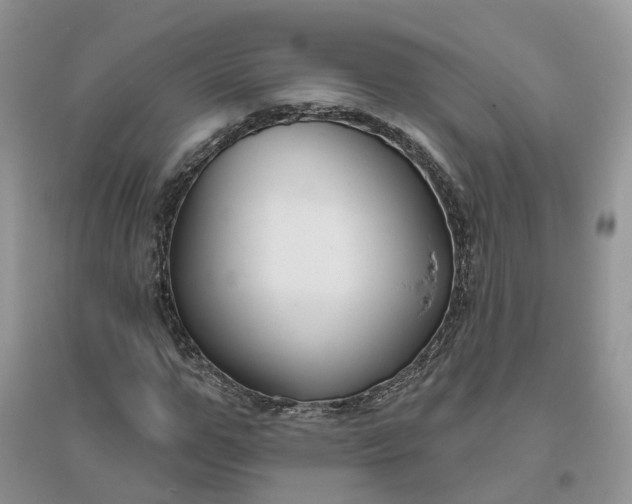 X0000096170967200802011315