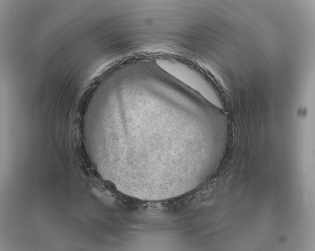 X0000096170968200802011315