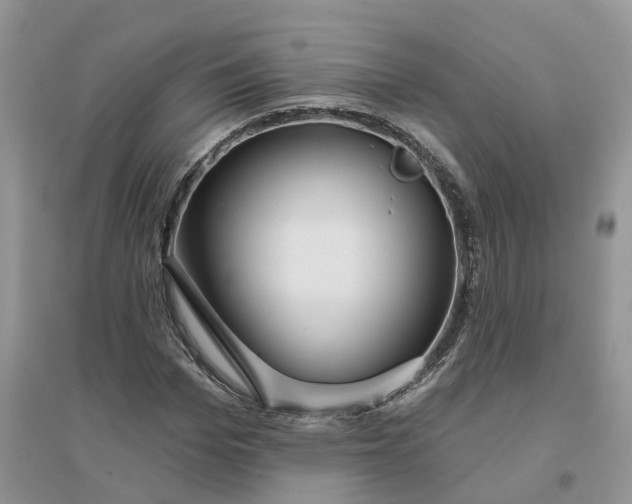 X0000096170969200802011315