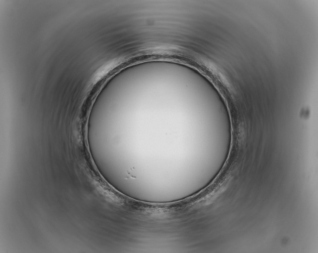 X0000096170970200802011315