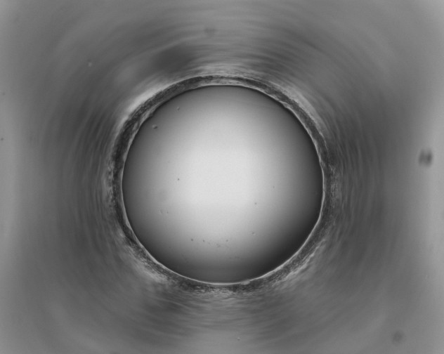 X0000096170971200802011315