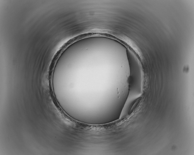 X0000096170972200802011315