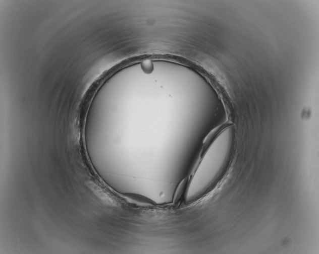 X0000096170973200802011315