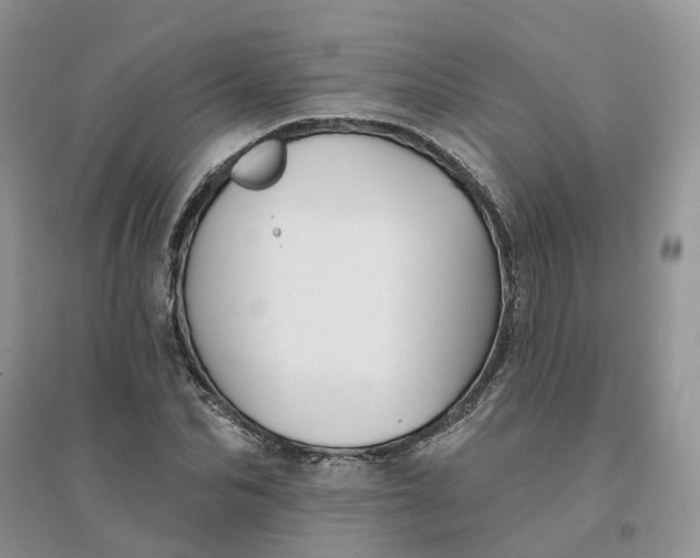 X0000096170974200802011315