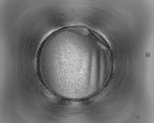 X0000096170975200802011315