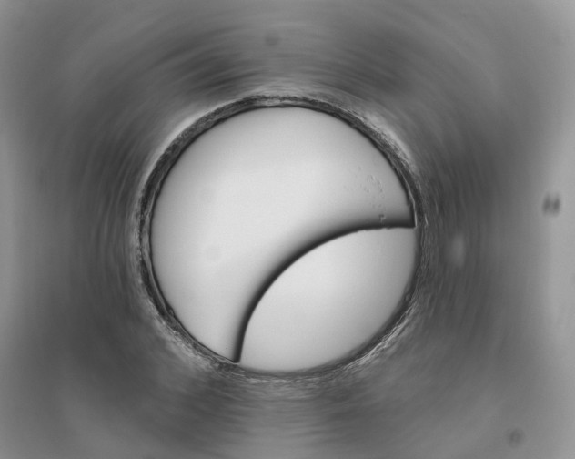 X0000096170976200802011315