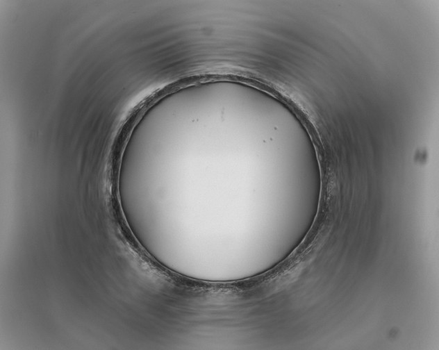 X0000096170979200802011315