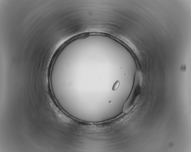 X0000096170980200802011315