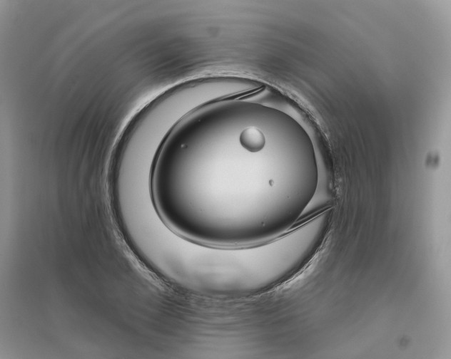 X0000096170981200802011315