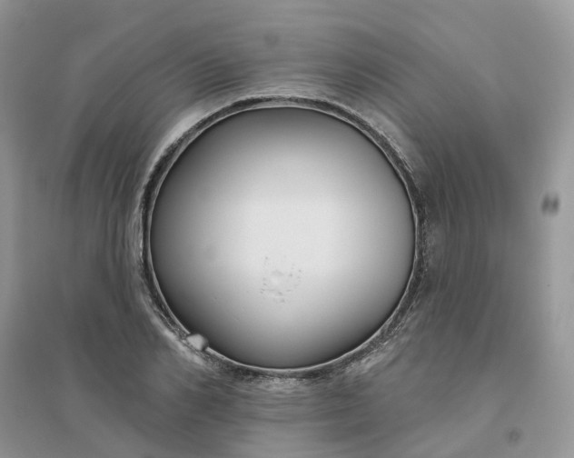 X0000096170982200802011315