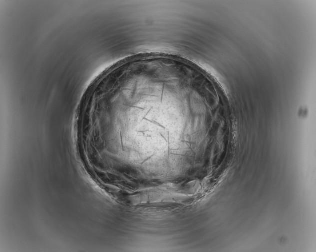 X0000096170983200802011315