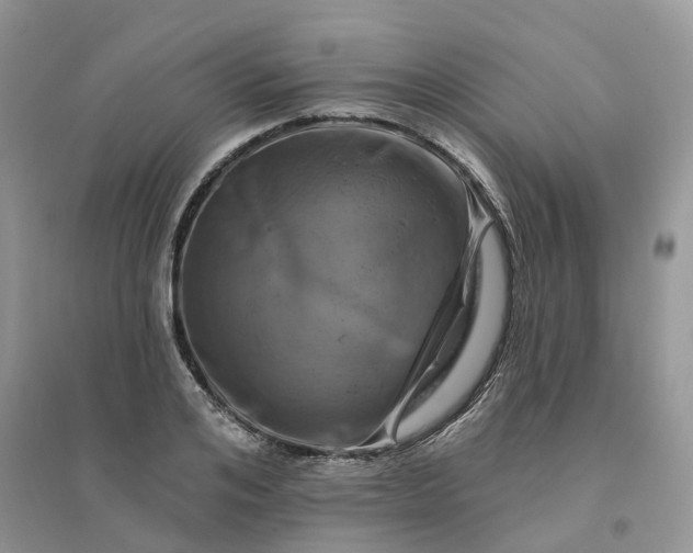 X0000096170984200802011314