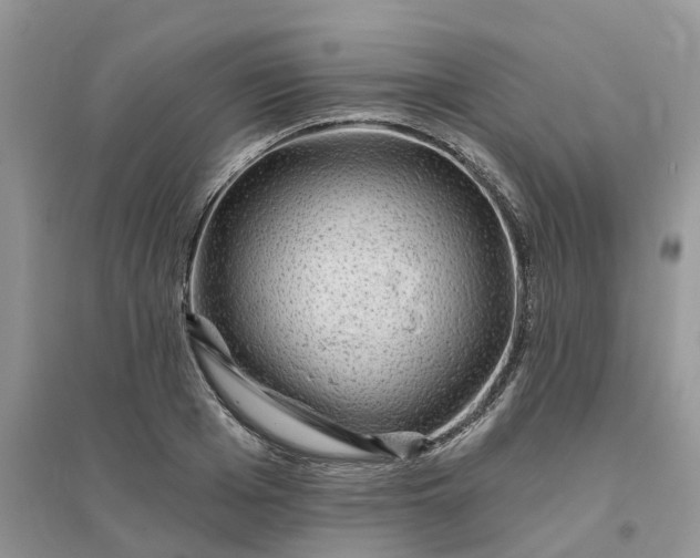 X0000096170985200802011314