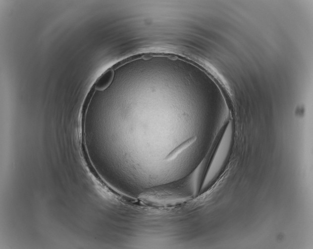 X0000096170988200802011314