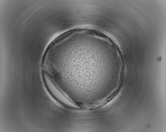 X0000096170989200802011314