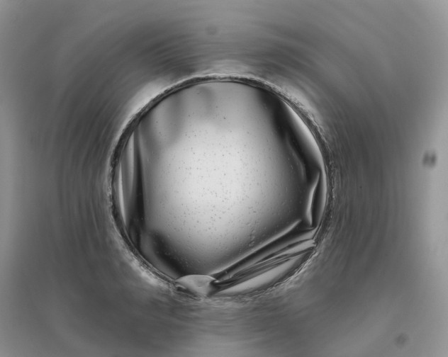 X0000096170990200802011314