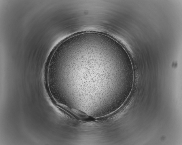 X0000096170991200802011314