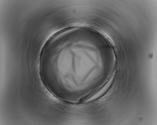 X0000096170992200802011314