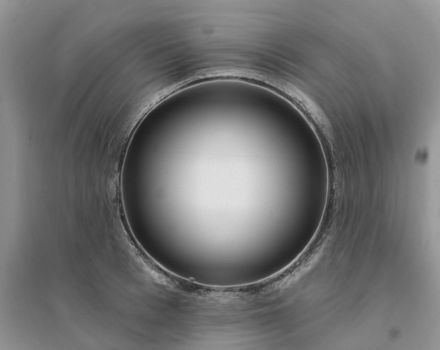 X0000096170993200802011314