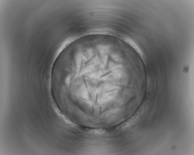 X0000096170994200802011314