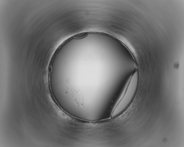 X0000096170996200802011314