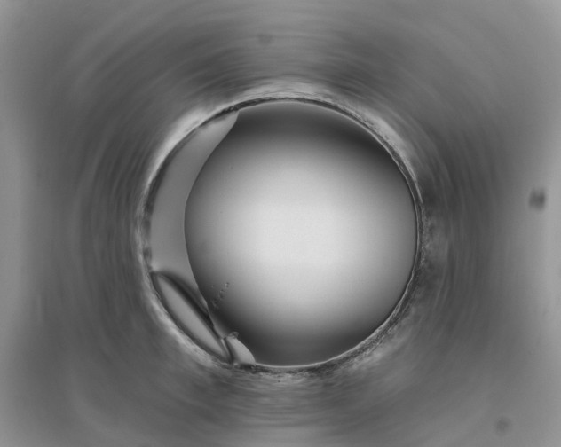 X0000096170997200802011314