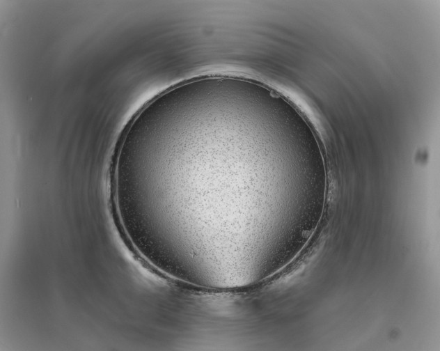 X0000096170999200802011314