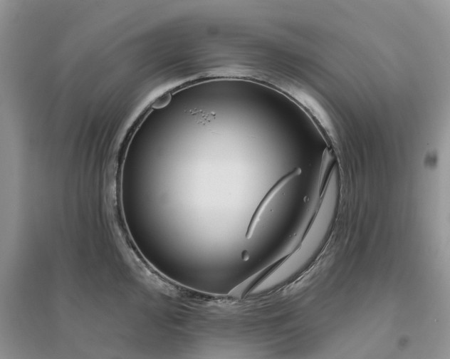 X0000096171000200802011314