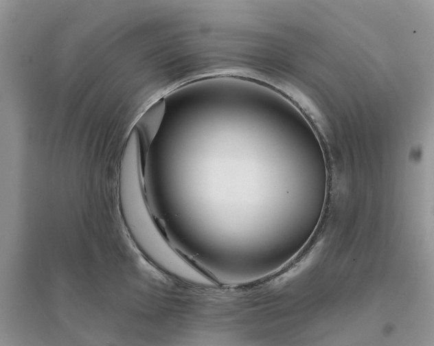 X0000096171001200802011314