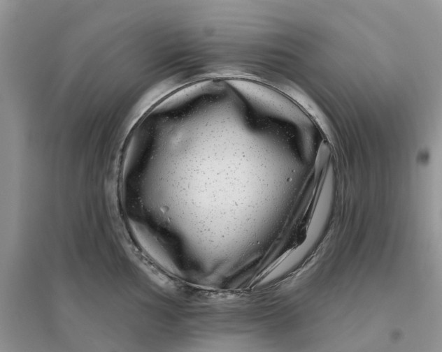 X0000096171002200802011314