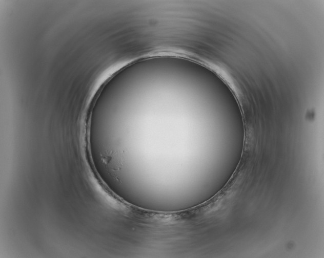 X0000096171003200802011314