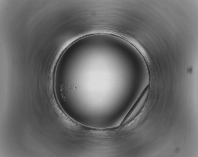 X0000096171004200802011314