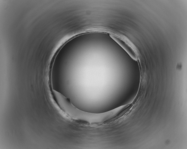 X0000096171005200802011314