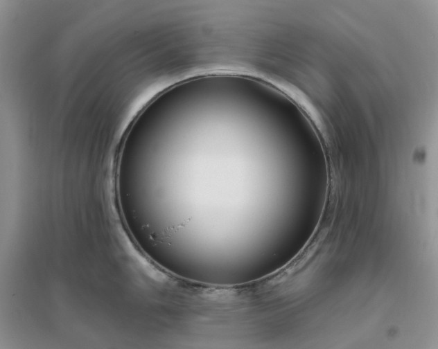 X0000096171006200802011314